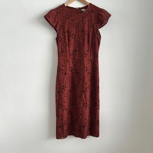Lace dress, perfect for work or dress up with jewelry for the holidays!